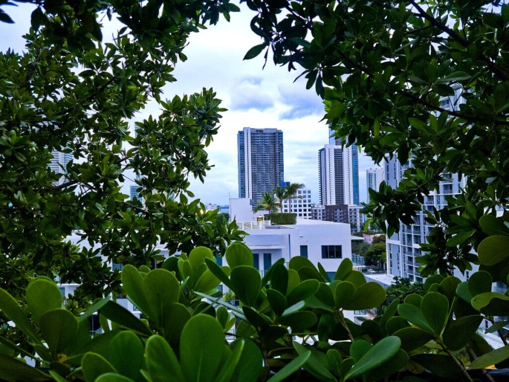 Accounting for Short-Term Rentals in Miami 1